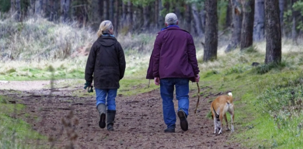 How to Stay Active During Your Senior Years - Walking the Dog